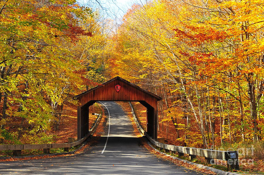 Covered Bridge on Pierce Stocking Scenic Drive Photograph by Terri Gostola