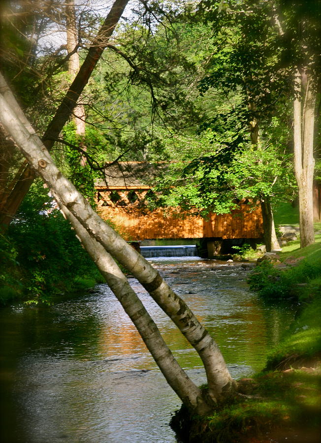 Nature Pyrography - Covered Bridge by Patricia Innes
