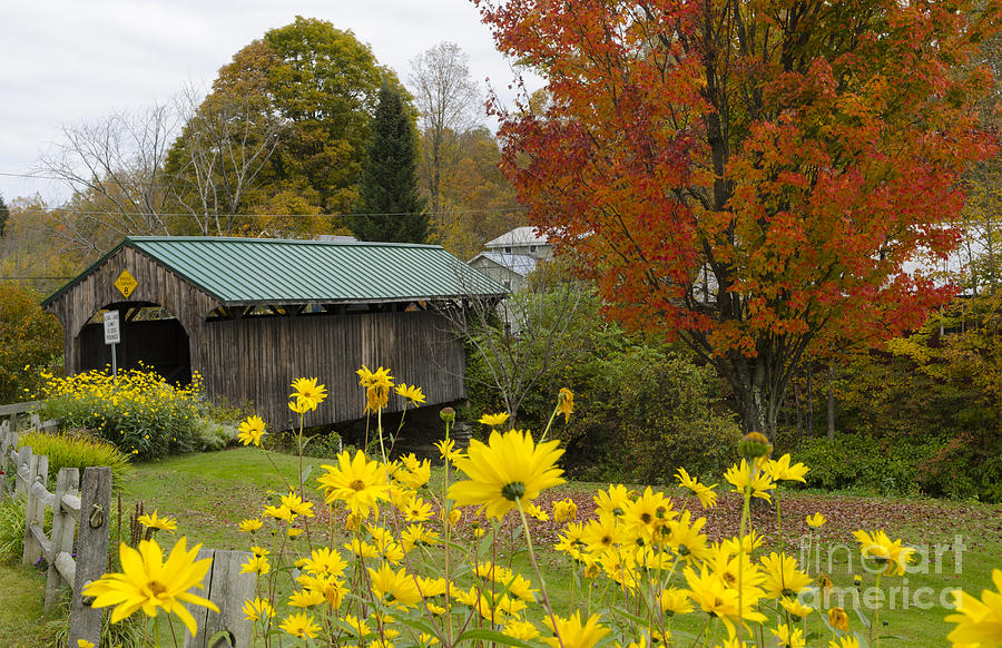 Covered Bridge With Fall Foliage Photograph by Bill Bachmann