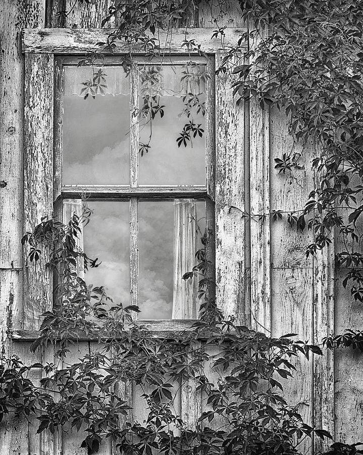 Covered in Vines - Window in Old House - Black and White Photograph by Nikolyn McDonald