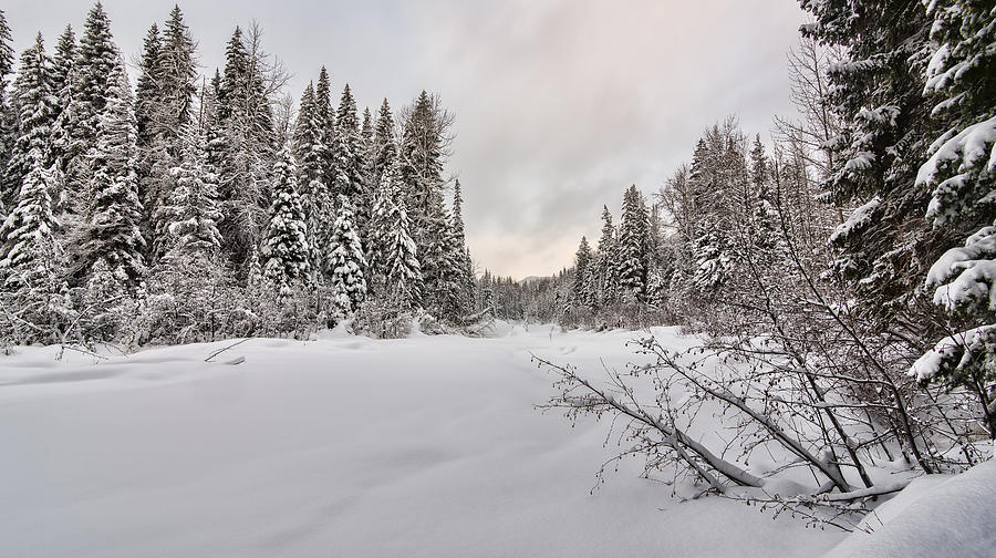 Christmas Photograph - Covered River by James Wheeler