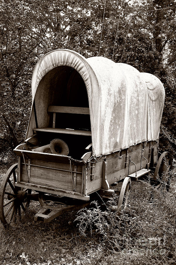 Covered Wagon Sepia Photograph by Timothy Hacker