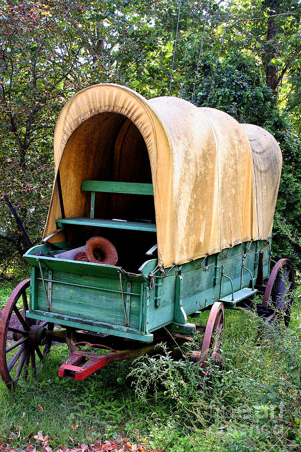 Covered Wagon Photograph by Timothy Hacker
