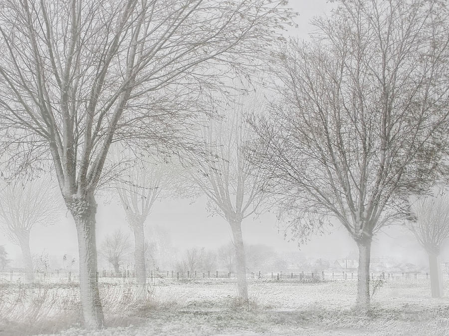 Winter Photograph - Covered With A White Quilt by Yvette Depaepe