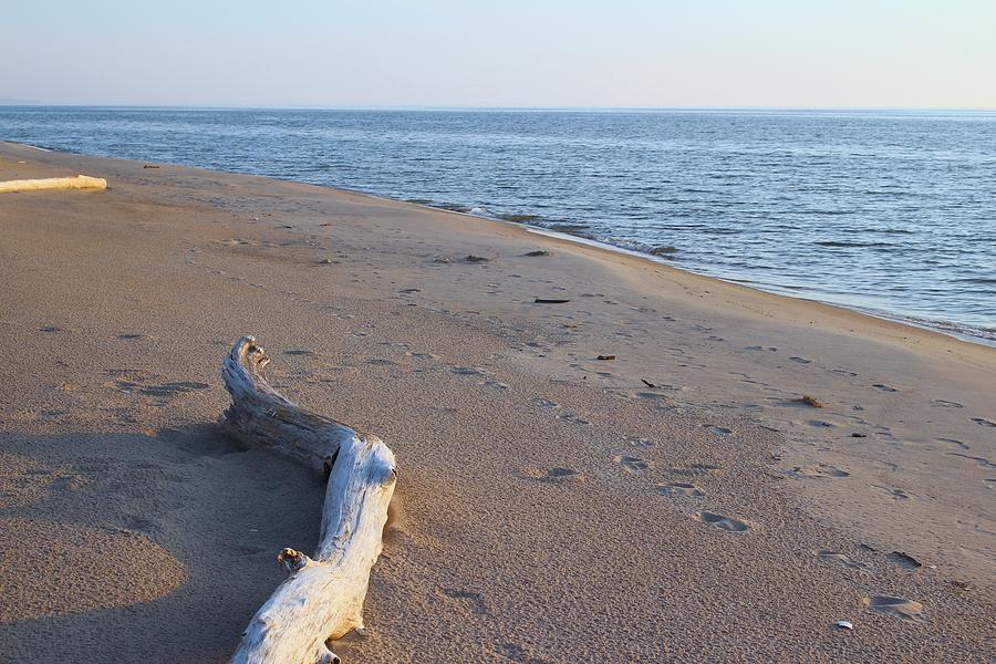 Covert Michigan Lake Michigan Photograph by Sylvia Herrington | Fine ...