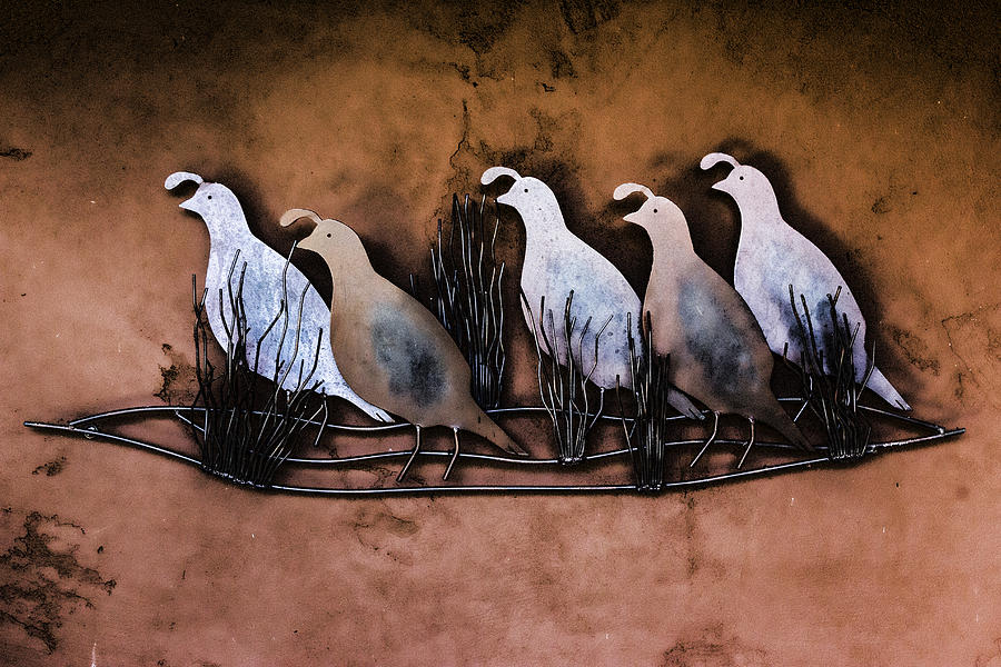 Covey of Quail Digital Art by Photographic Art by Russel Ray Photos
