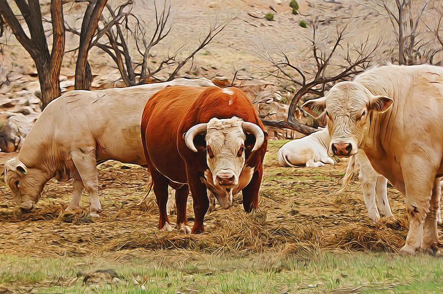 Cow Art 2 Digital Art Digital Art by Ernest Echols