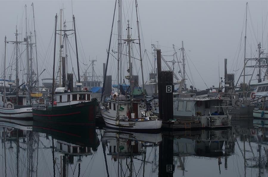 Cow Bay Boats Photograph by Malcolm Chalmers - Pixels