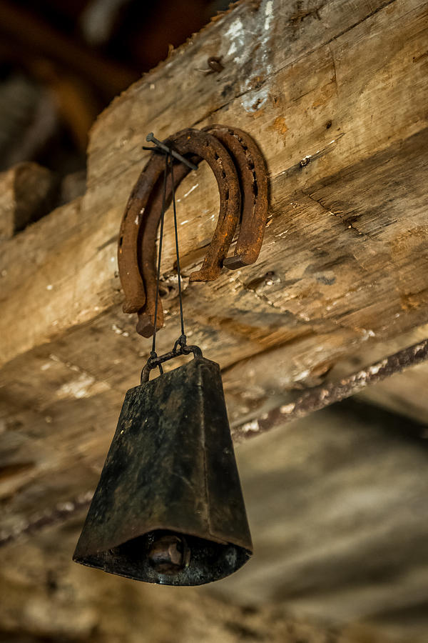 Cow bell and Horseshoes Photograph by Paul Freidlund