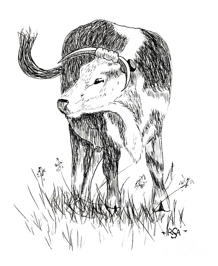 Cow in Pen and Ink Drawing by Rose Santuci-Sofranko