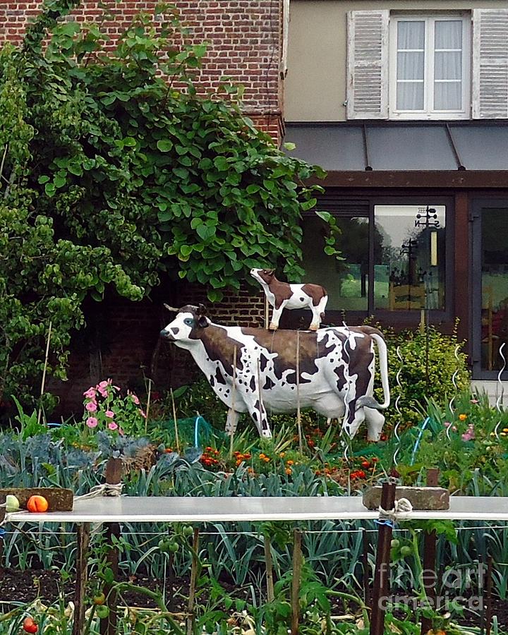 Cow on Cow Garden Art Photograph by Barbie Corbett-Newmin