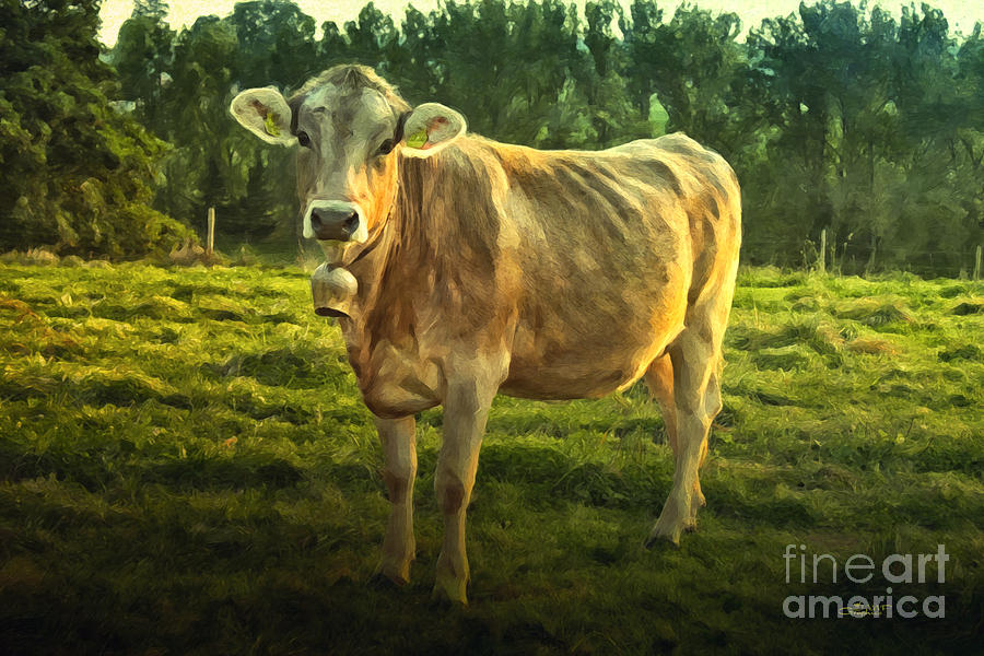 Cow Portrait Photograph by Jutta Maria Pusl