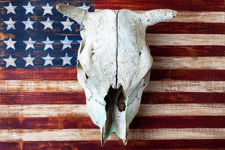 Cow Skull And American Flag Photograph by Garry Gay