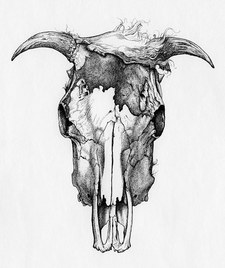 How To Draw Bull Skull - Bull Skull Drawing Step By Step, HD Png Download ,  Transparent Png Image - PNGitem
