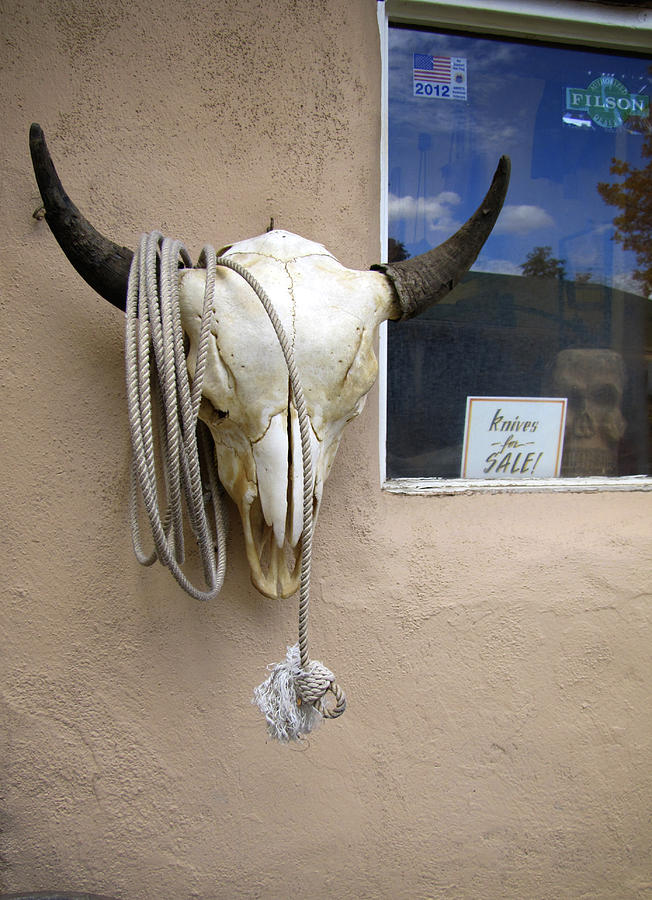 Cow Skull on Adobe Photograph by Ann Powell
