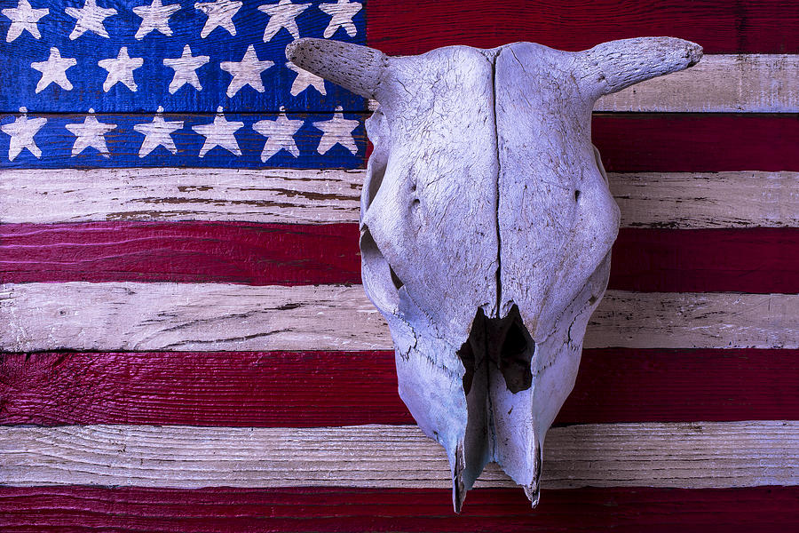 Cow Skull On American Flag Photograph by Garry Gay