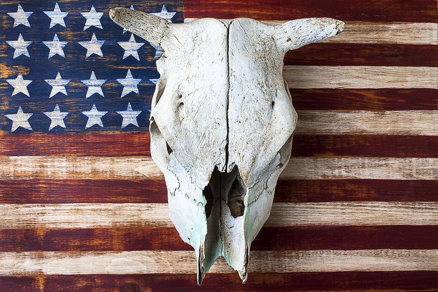 Cow skull on folk art American flag Photograph by Garry Gay