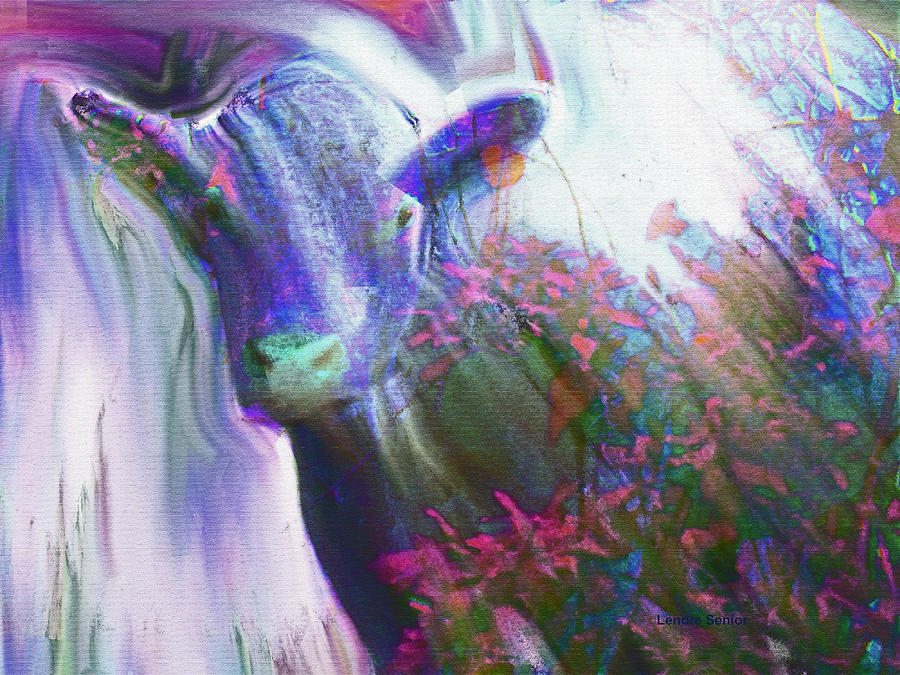 Cow with Falling Stars Mixed Media by Lenore Senior