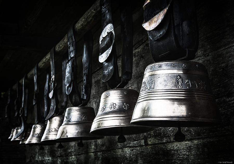 Cowbells Photograph by Ryan Wyckoff
