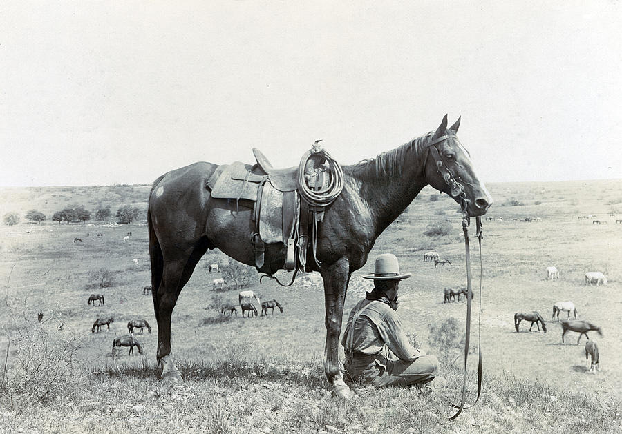 Cowboy, 1910 Photograph by Science Source