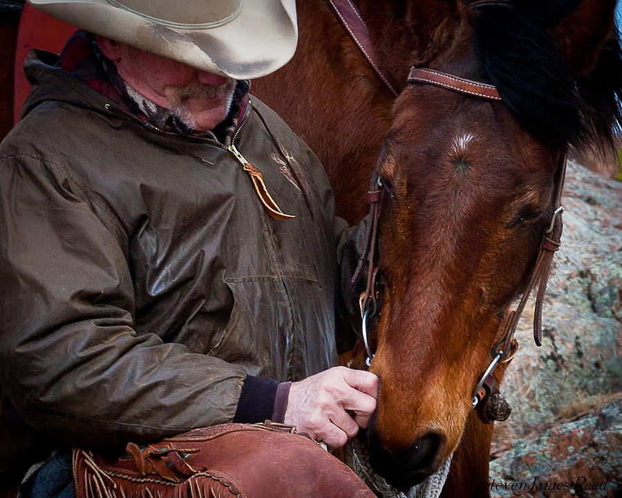 Cowboy and His Horse Photograph by Steven Reed