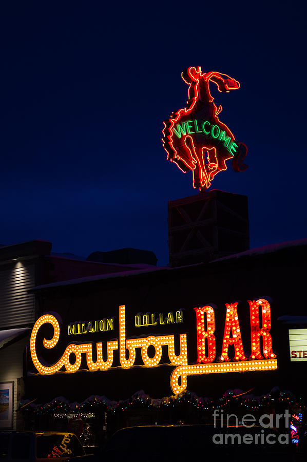 Horse Photograph - Cowboy Bar by Wildlife Fine Art