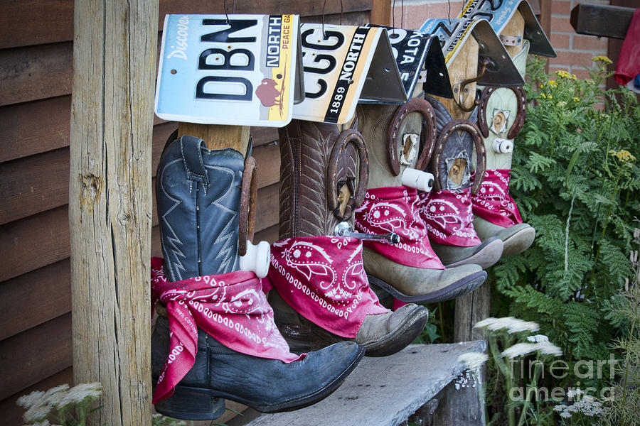 Cowboy Boot Birdhouses Photograph by David Arment