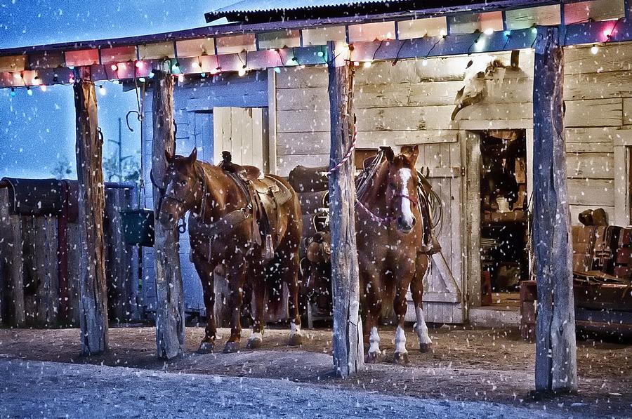 Cowboy Christmas Photograph by Pamela Steege