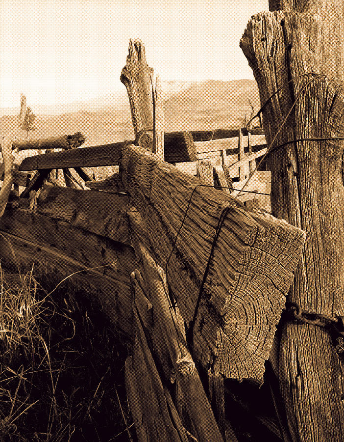 Cowboy Corral by Dennis Galloway Cowboy Corral by Dennis Galloway