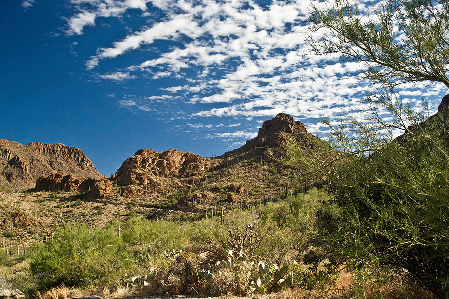 Cowboy Country Arizona 8 Photograph by Douglas Barnett - Fine Art America