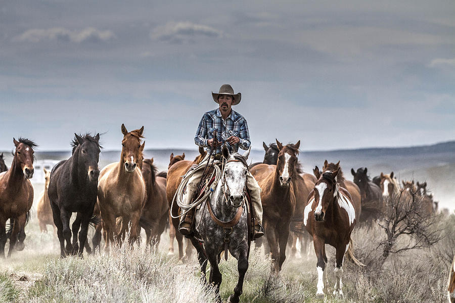 Cowboy Daze Photograph by Kristal Kraft