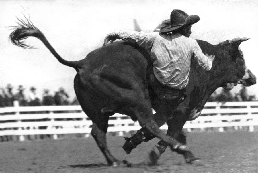 Cowboy Falling  From Bull Photograph by Underwood Archives