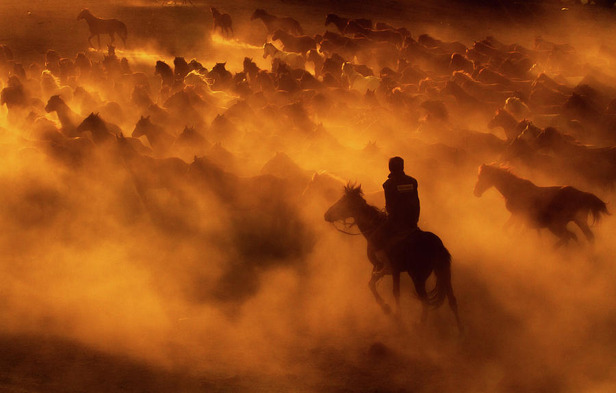Horse Photograph - Cowboy by Feyzullah Tunc
