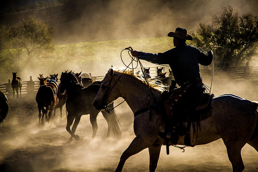 Horse Photograph - Cowboy Hand Signals by John Covin