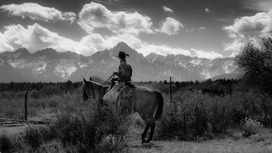 Cowboy On Cattle Drive Gather Photograph by Panoramic Images
