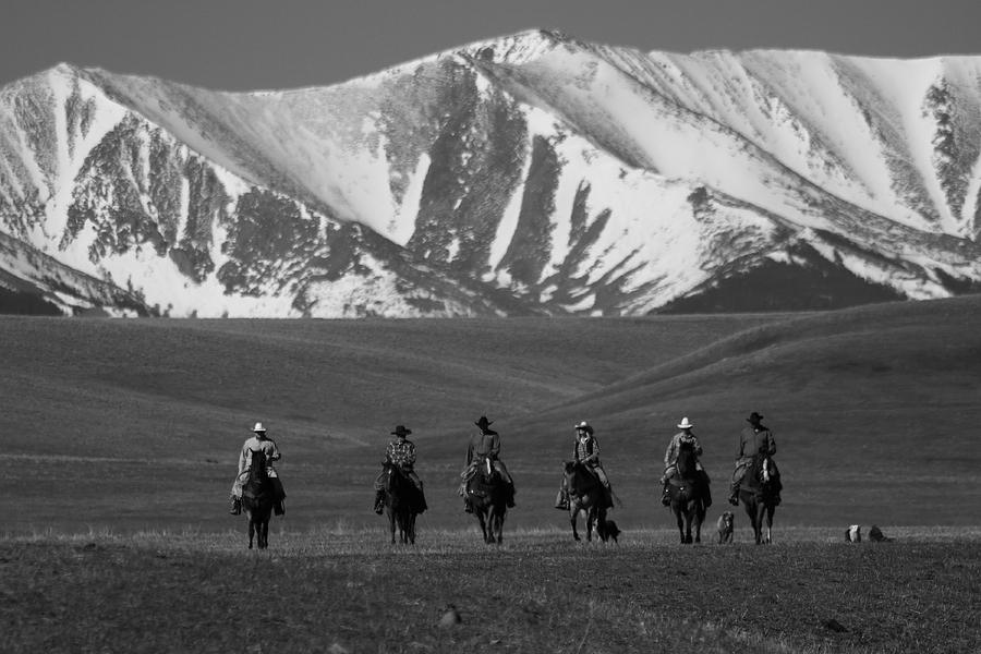 Horse Photograph - Cowboy Ride by Richard Cheski