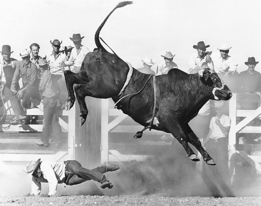 Cowboy Riding A Bull Photograph by Underwood Archives