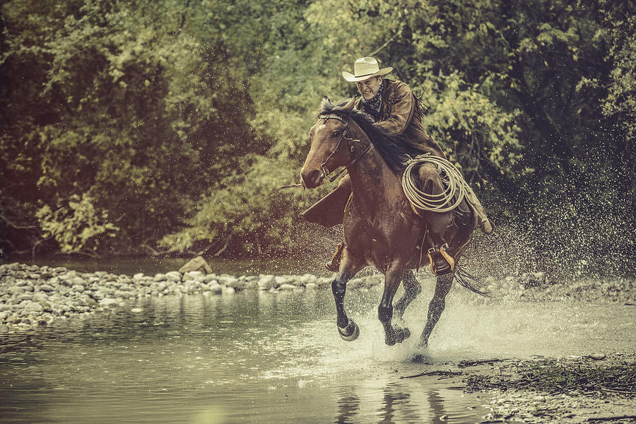 Cowboy riding across a river in the forest Photograph by Vm
