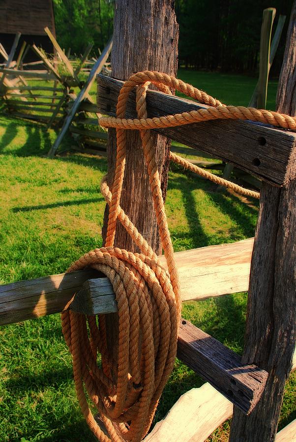 Cowboy Rope Photograph by Toby Horton - Pixels