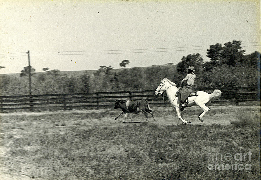 Cowboy Roping 1935 Photograph by Patricia Tierney