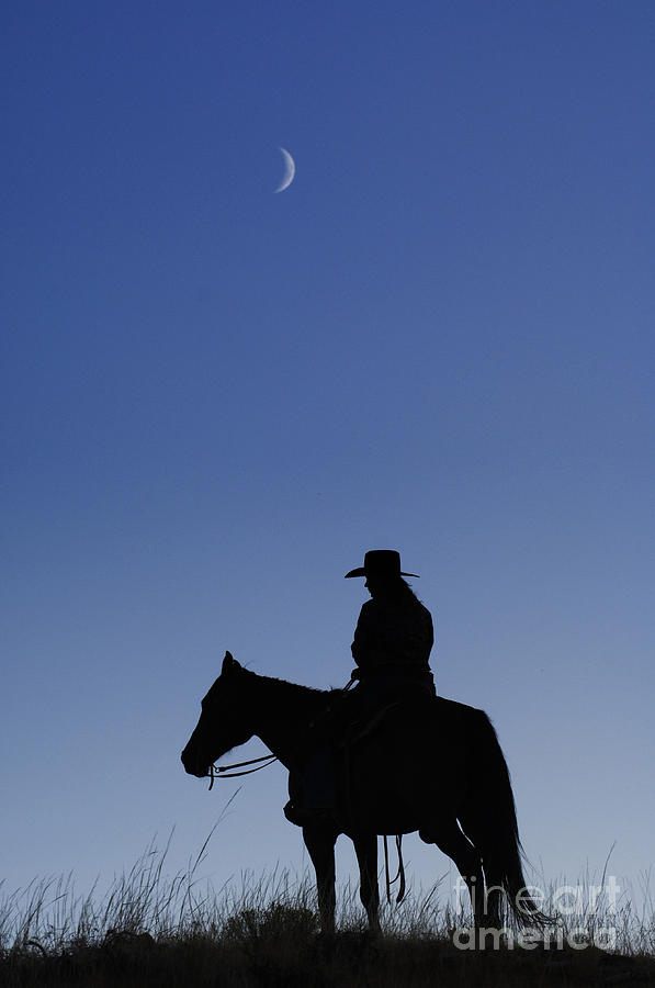 Cowboy Silhouette Photograph by John Shaw