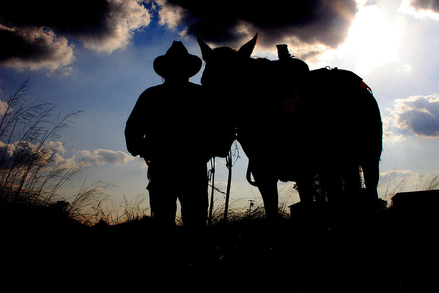 Cowboy Silhouette Photograph by Toni Hopper