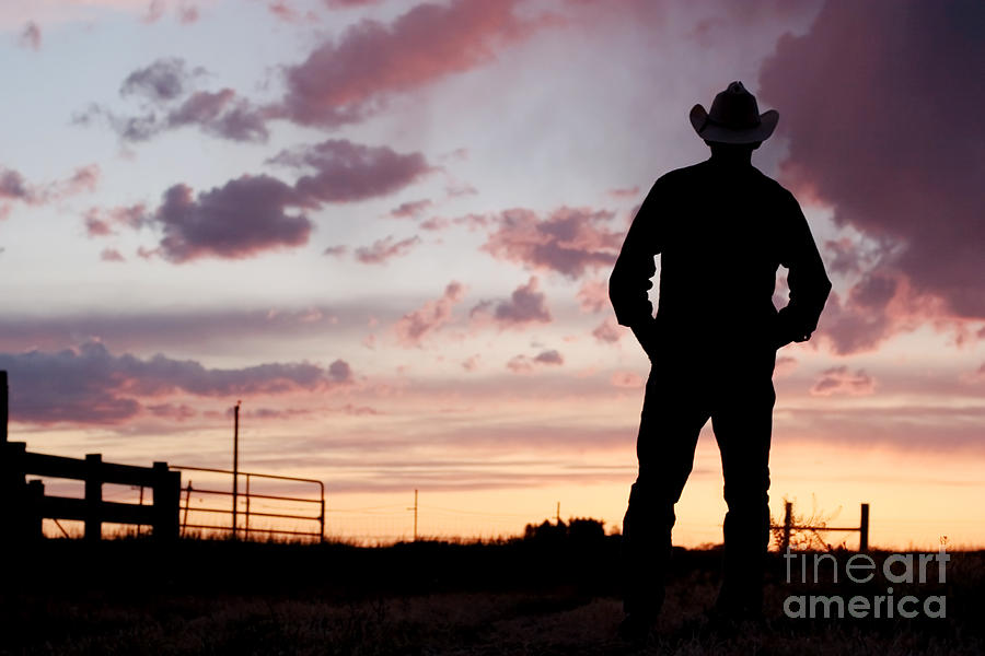 Sunset Photograph - Cowboy Sunset by Cindy Singleton