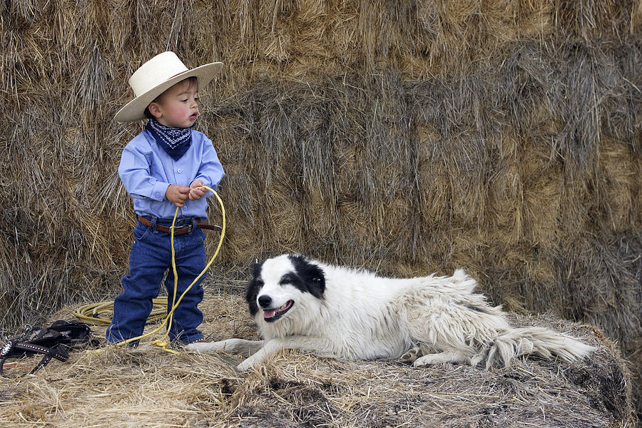 Cowboy With Border Collie Photograph by M. Watson