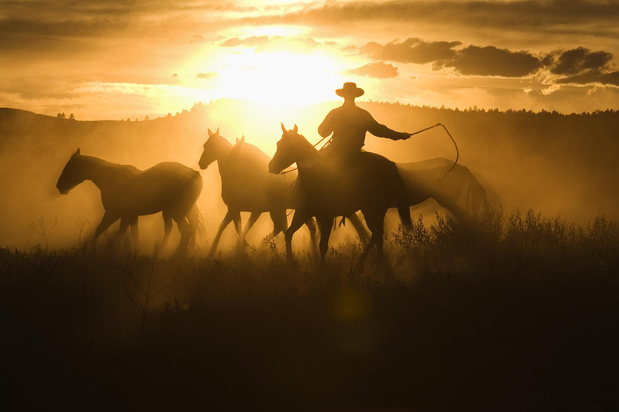 Cowboy With Lasso Herding Horses Oregon Photograph by Konrad Wothe