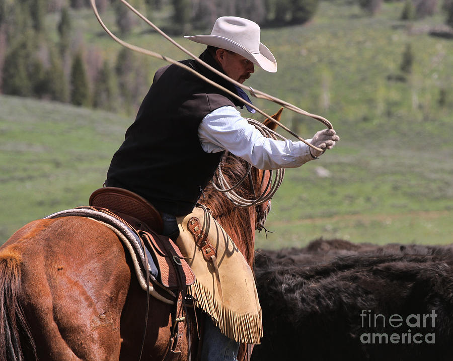 Horse Photograph - Cowboyin by Edward R Wisell
