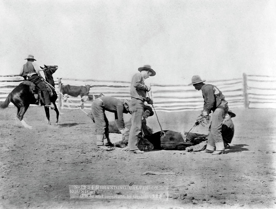 Cowboys, 1888 by Granger