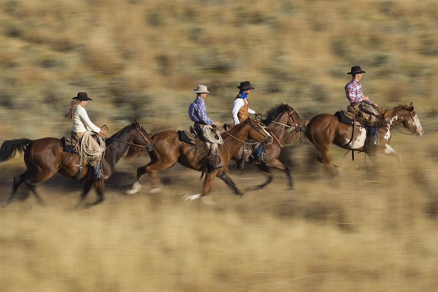 Cowboys And Cowgirl Riding Oregon Photograph by Konrad Wothe