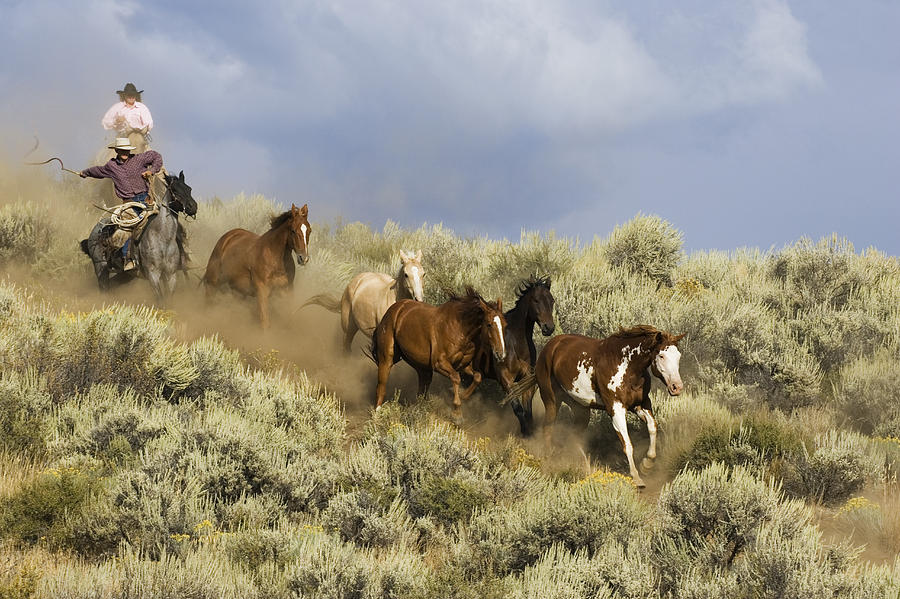 Cowboys Herding Horses Through Sagebrush Photograph by Konrad Wothe