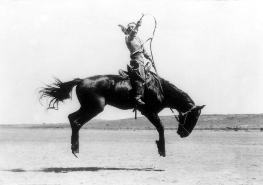 Occupation Photograph - Cowgirl Riding Bucking Bronco, 1919 by Science Source